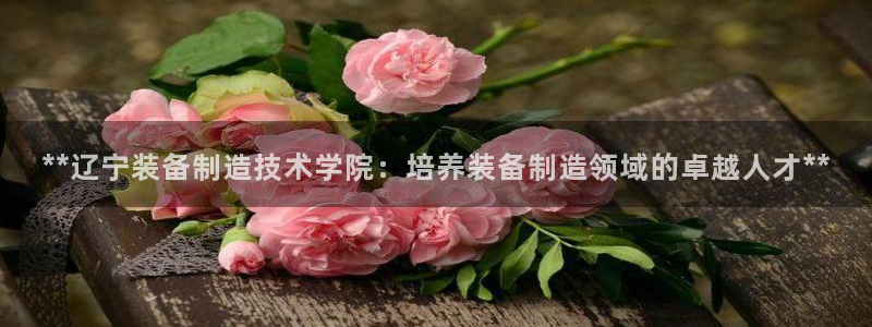 彩神vll购彩大厅大众：**辽宁装备制造技术学院：培养装备制