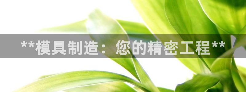 下载彩神通关注码：**模具制造：您的精密工程**