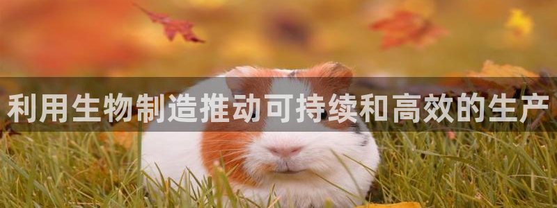 彩神v8是一个什么平台