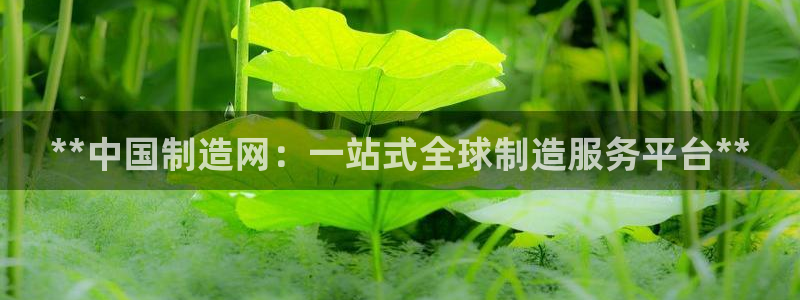 彩神8官网版是正规的吗