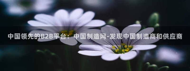 彩神8最新版下载