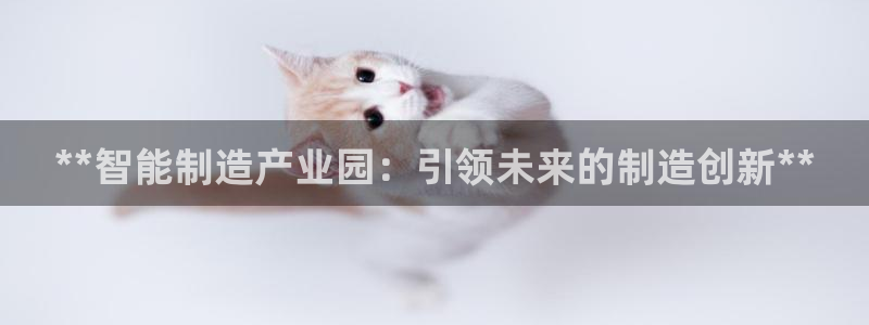 彩神购彩-购彩大厅入口500