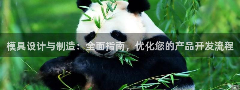 彩神v集团有限公司