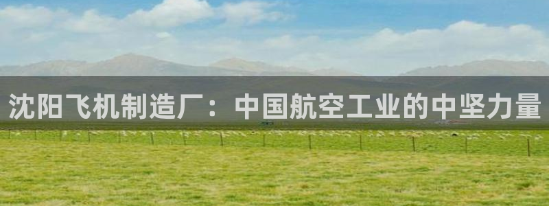 彩神Vll购彩大厅