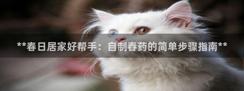 彩神团队是真的吗