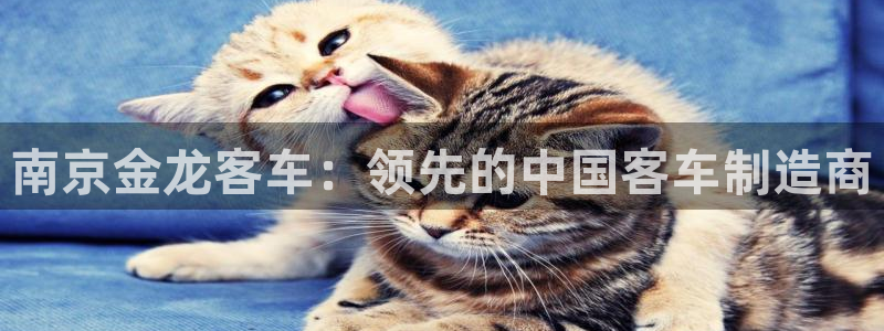 彩神网能赚钱是怎么回事