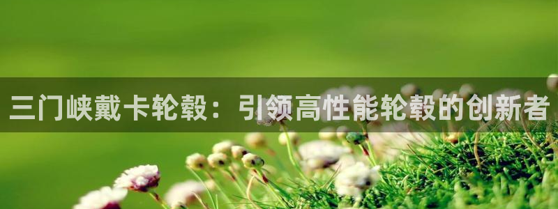 彩神8是正规平台吗安全吗：三门峡戴卡轮毂：引领高性能轮毂的创