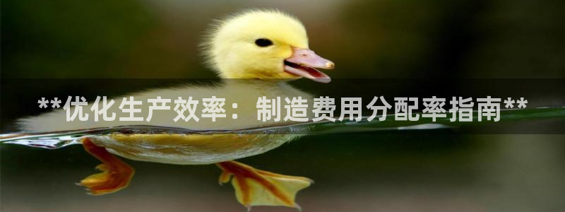 彩神app能挣到钱吗