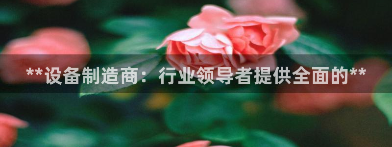 彩神官方登录