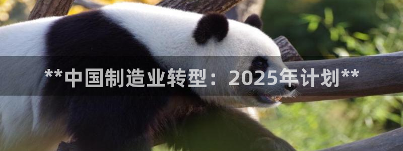 彩神网合法吗