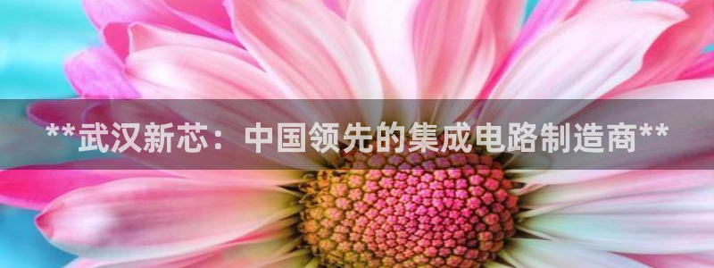 彩神购彩-购彩大厅入口计划群