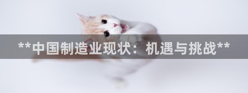 彩神赢钱了吗知乎