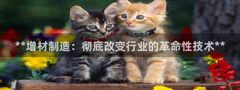 彩神大发cp