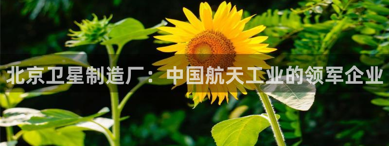 彩神ios下载