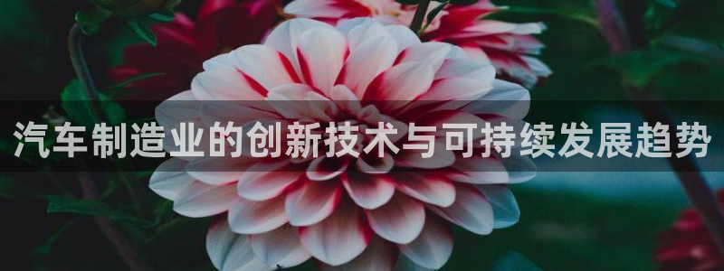 彩神v