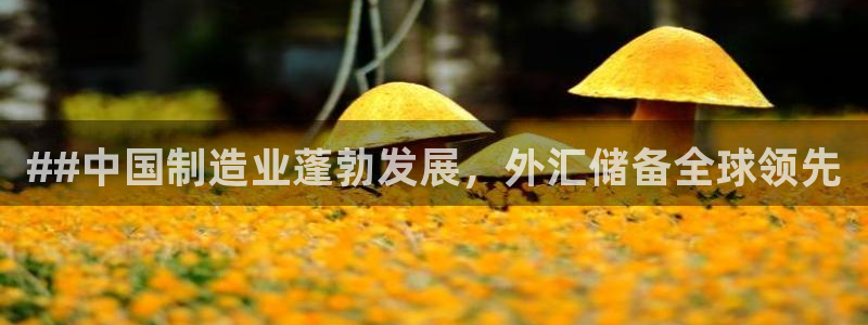 彩神v秘聊号码