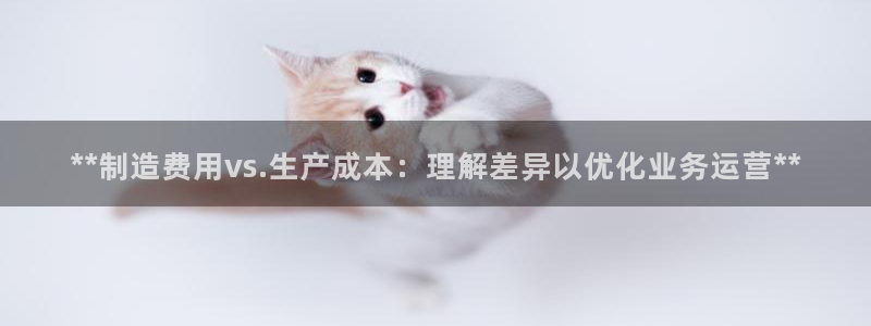 彩神vlll官方网