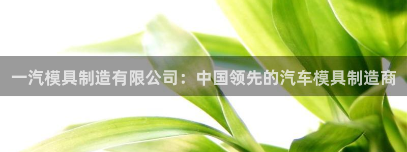 彩神v|：一汽模具制造有限公司：中国领先的汽车模具制造商