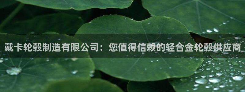 彩神是怎样一个平台：戴卡轮毂制造有限公司：您值得信赖的轻合金轮毂供应商