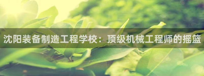 下载彩神通关注码：沈阳装备制造工程学校：顶级机械工程师的摇篮
