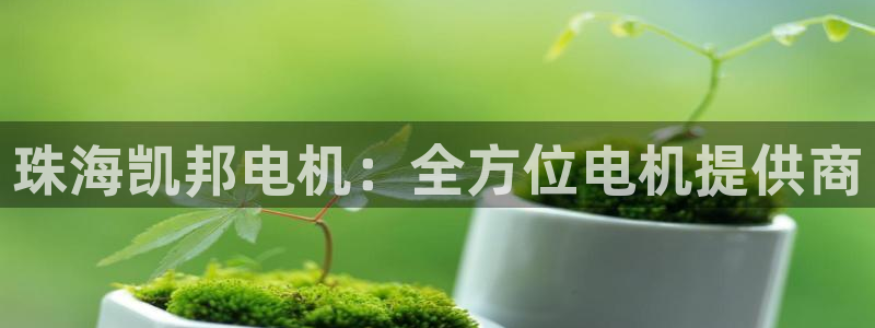 彩神vip购彩大厅下载：珠海凯邦电机：全方位电机提供商