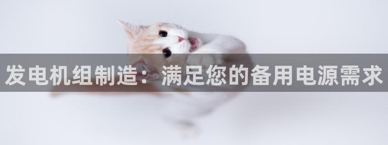 彩神vlll官方网：发电机组制造：满足您的备用电源需求