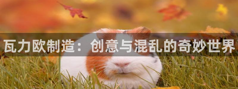 下载彩神乐发V：瓦力欧制造：创意与混乱的奇妙世界