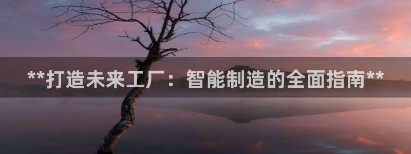 彩神8软件下载：**打造未来工厂：智能制造的全面指南**