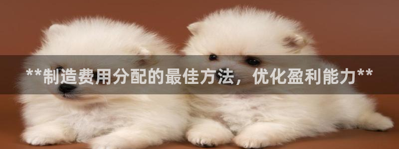 彩神官方邀请码是多少：**制造费用分配的最佳方法，优化盈利能