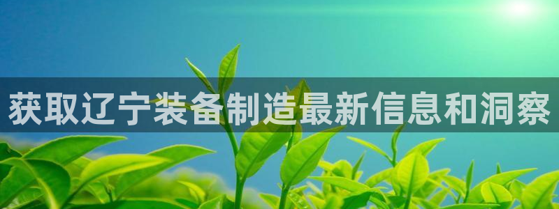 彩神vl购彩大厅：获取辽宁装备制造最新信息和洞察