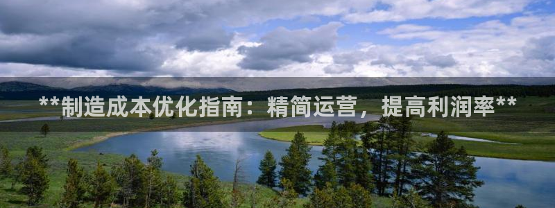 彩神VII官方版：**制造成本优化指南：精简运营，提高利润率