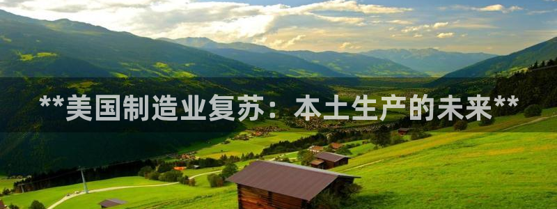 彩神正规吗：**美国制造业复苏：本土生产的未来**