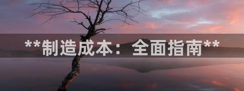 彩神8是正规平台吗知乎：**制造成本：全面指南**