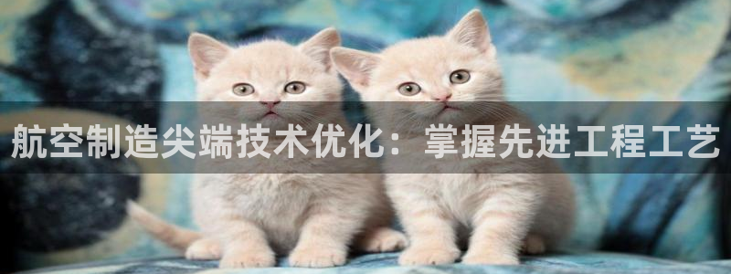 彩神vll首页：航空制造尖端技术优化：掌握先进工程工艺