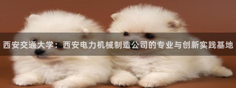 彩神8是正规平台吗：西安交通大学：西安电力机械制造公司的专业与创新实践基地