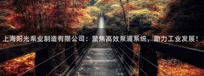 彩神v8是真的挣钱吗：上海阳光泵业制造有限公司：聚焦高效泵浦系统，助力工业发展！