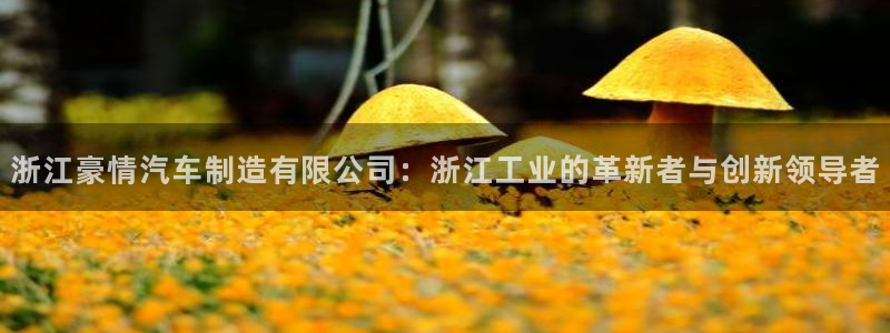 彩神大发官网：浙江豪情汽车制造有限公司：浙江工业的革新者与创新领导者