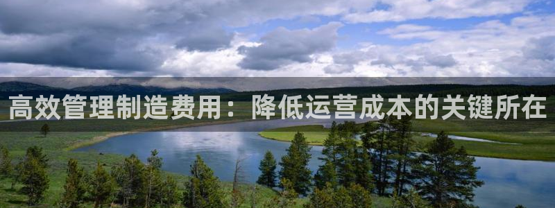 彩神vll趣投彩：高效管理制造费用：降低运营成本的关键所在