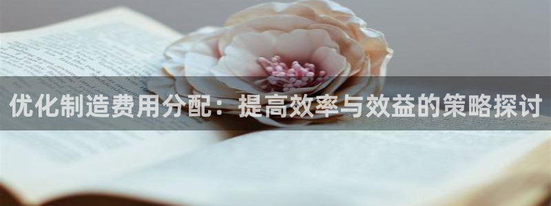 彩神v8app：优化制造费用分配：提高效率与效益的策略探讨