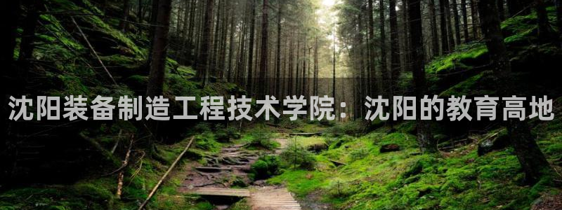 彩神vll购彩大厅：沈阳装备制造工程技术学院：沈阳的教育高地