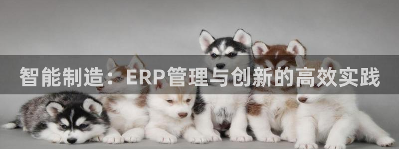 彩神争霸官方登录：智能制造：ERP管理与创新的高效实践