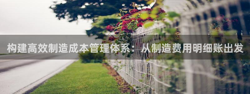 彩神ios下载：构建高效制造成本管理体系：从制造费用明细账出发