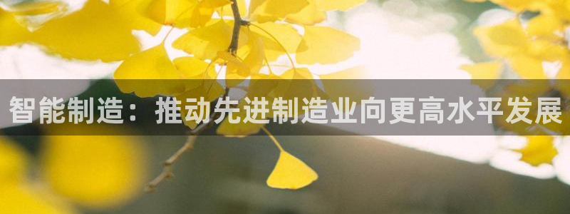 彩神v8手机客户端下载：智能制造：推动先进制造业向更高水平发展