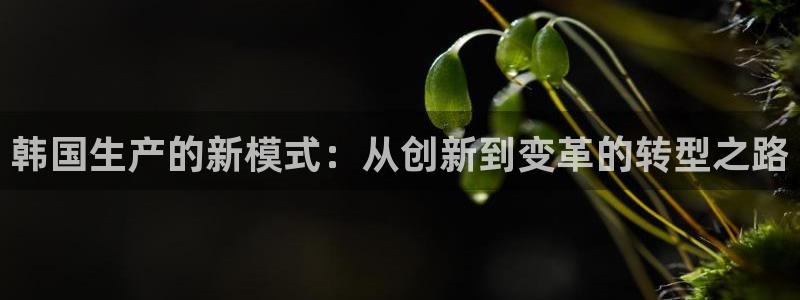 彩神大发是不是人为操作：韩国生产的新模式：从创新到变革的转型之路