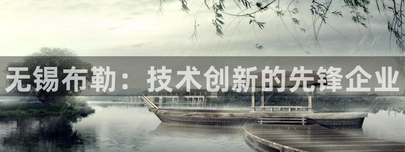 彩神vi争霸官网：无锡布勒：技术创新的先锋企业