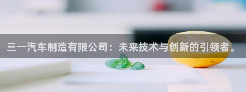 有谁知道彩神争霸的网址：三一汽车制造有限公司：未来技术与创新