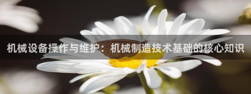 v大发彩神8iii：机械设备操作与维护：机械制造技术基础的核