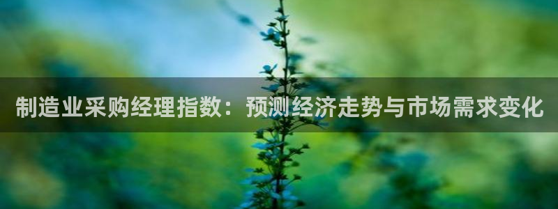 彩神平台是什么套路：制造业采购经理指数：预测经济走势与市场需求变化