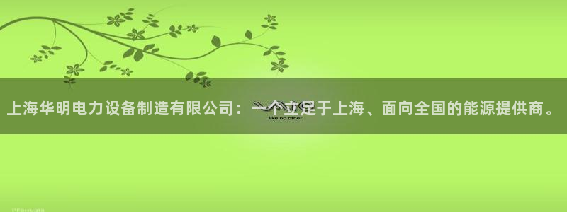 彩神v违法么：上海华明电力设备制造有限公司：一个立足于上海、
