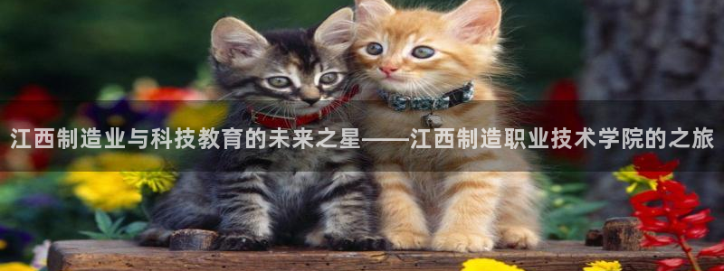 彩神vlll官方网：江西制造业与科技教育的未来之星——江西制造职业技术学院的之旅